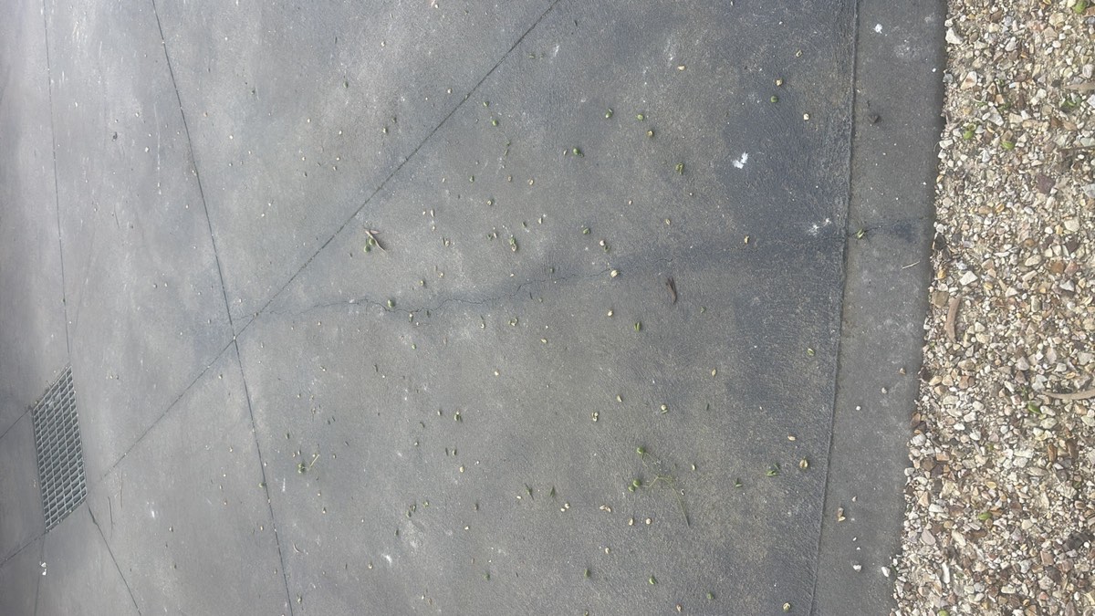 Cracking recorded as major, Craigieburn
