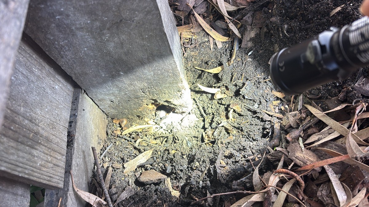 Structure unstable and out of line, Craigieburn